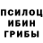 Псилоцибиновые грибы Psilocybine cubensis OooWeee