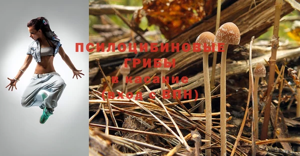 шишки Алексеевка