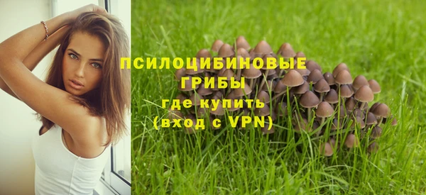 шишки Алексеевка
