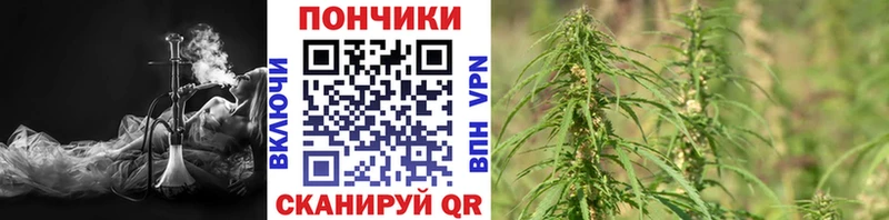 Бошки Шишки VHQ  купить   Пролетарск 